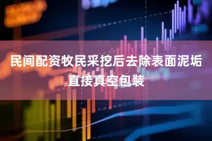 民间配资牧民采挖后去除表面泥垢直接真空包装