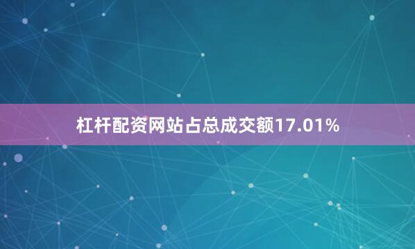 杠杆配资网站占总成交额17.01%