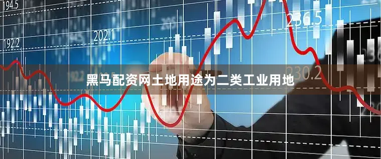 黑马配资网土地用途为二类工业用地